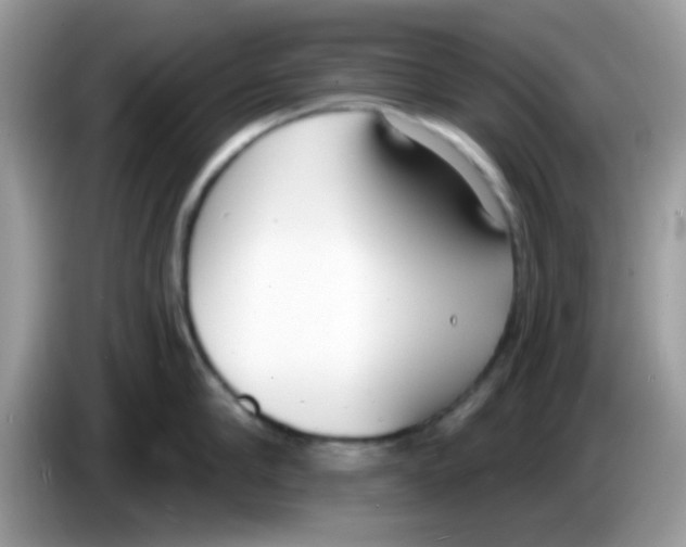 X0000086250910200704261933