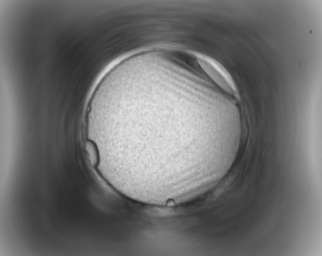 X0000086250911200704261933