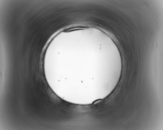 X0000086250912200704261933