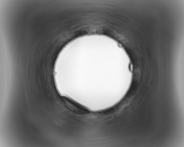 X0000086250913200704261933