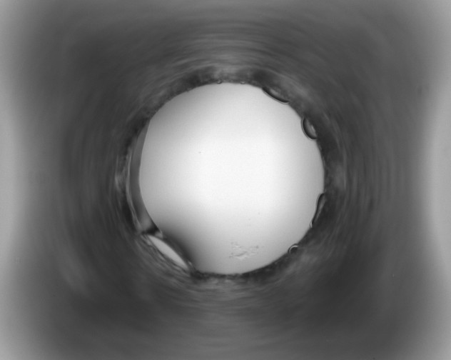 X0000086250914200704261933
