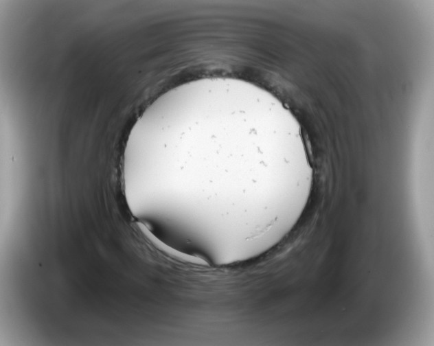 X0000086250916200704261933