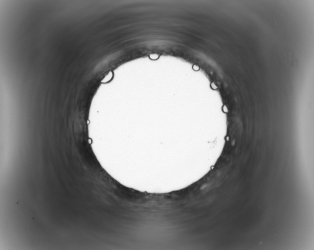 X0000086250918200704261933