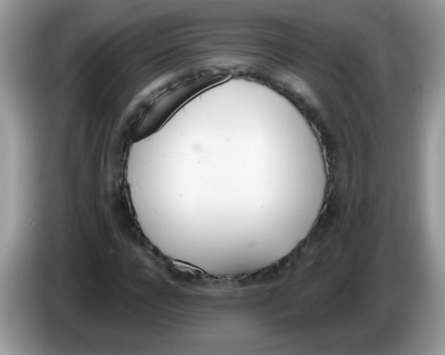 X0000086250920200704261933