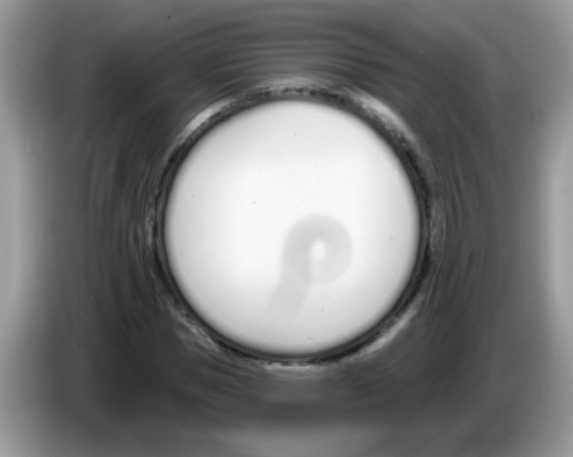X0000086250921200704261933