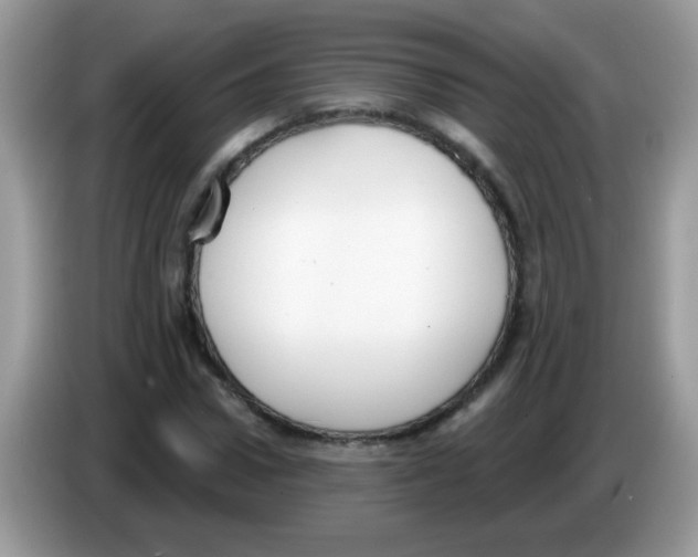 X0000086250922200704261933