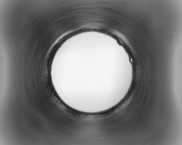 X0000086250923200704261933