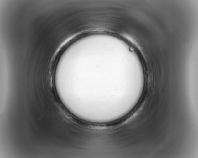 X0000086250925200704261933