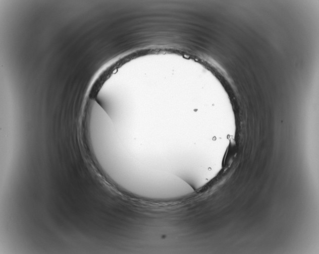 X0000086250928200704261933