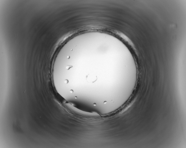 X0000086250930200704261933