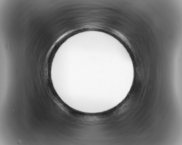 X0000086250931200704261933
