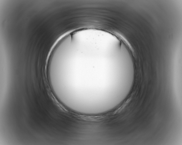 X0000086250932200704261933