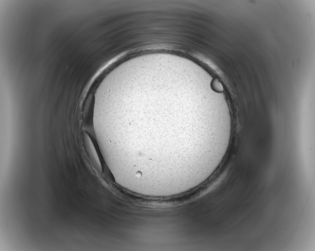 X0000086250933200704261933