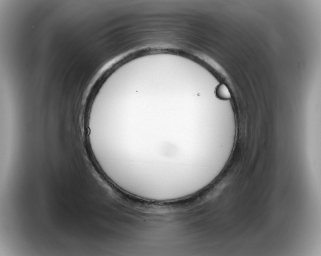 X0000086250935200704261933