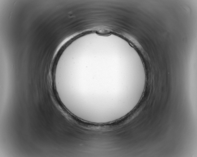 X0000086250936200704261933
