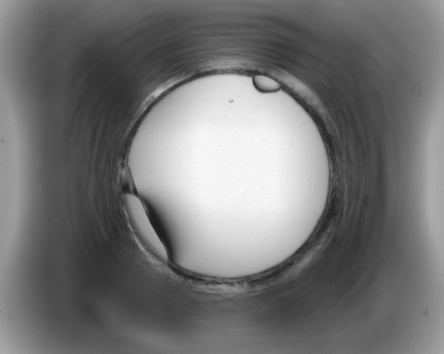 X0000086250937200704261933