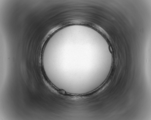 X0000086250938200704261933