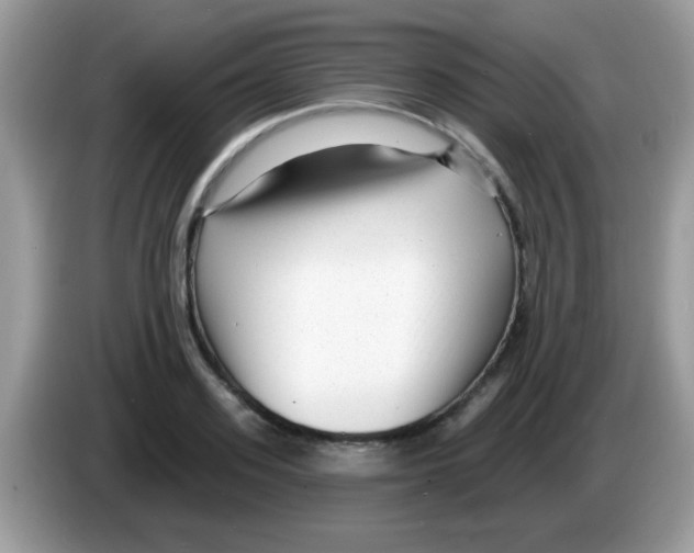 X0000086250939200704261933