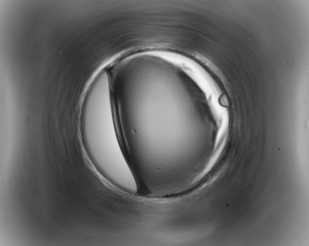 X0000086250941200704261933