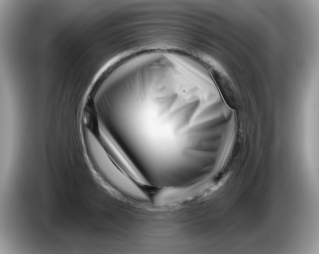 X0000086250942200704261933