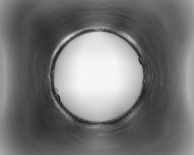 X0000086250943200704261933