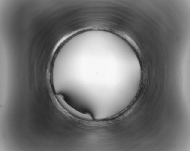 X0000086250944200704261933