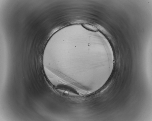 X0000086250945200704261933