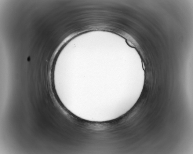 X0000086250947200704261933