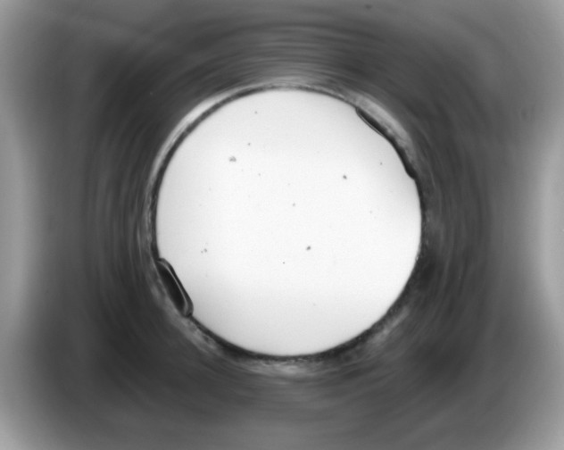 X0000086250948200704261933