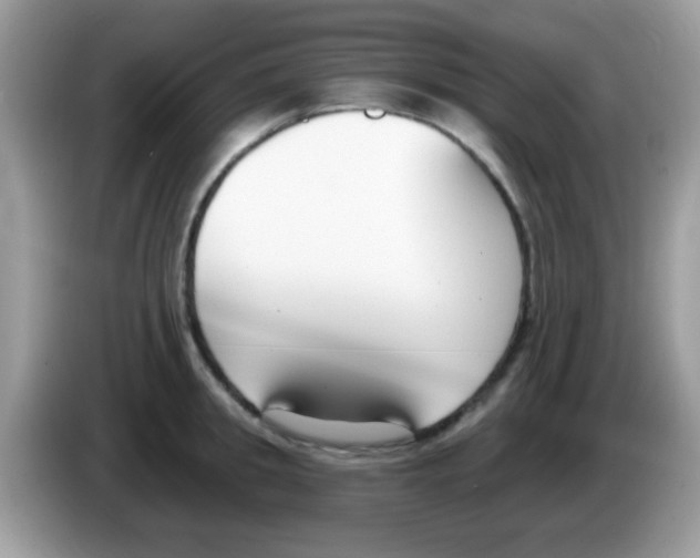 X0000086250949200704261933
