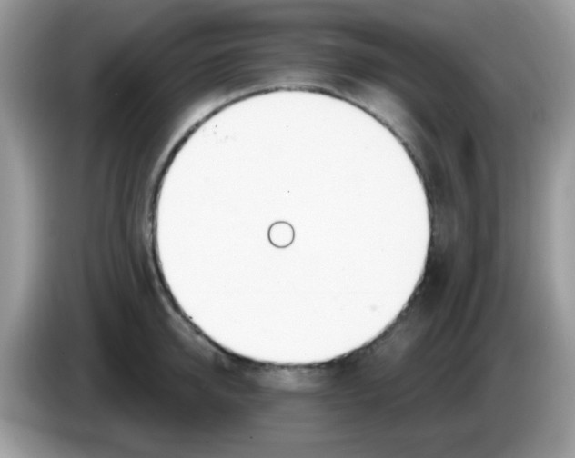 X0000086250950200704261933