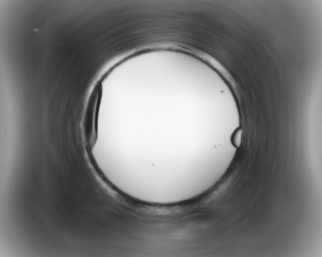 X0000086250951200704261933