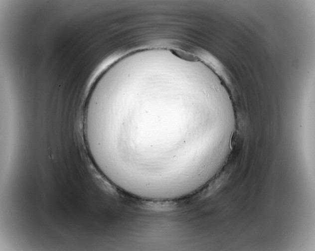 X0000086250952200704261933