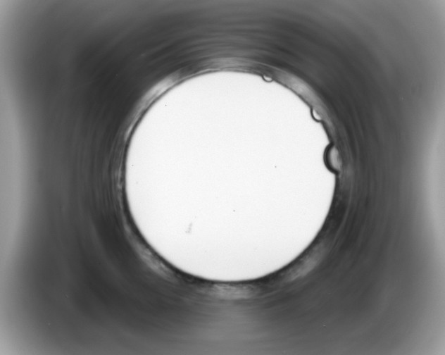 X0000086250954200704261933