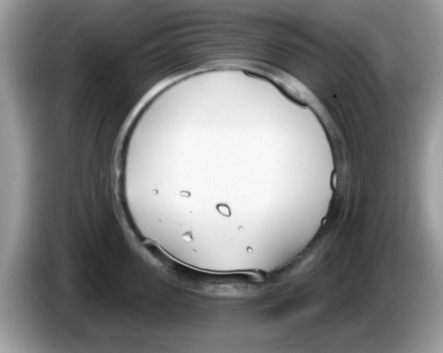 X0000086250955200704261933