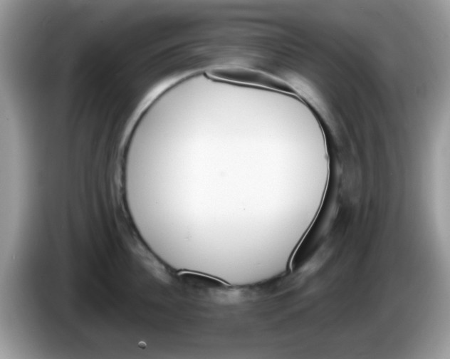 X0000086250956200704261933