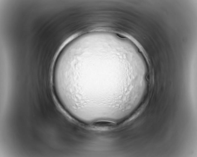 X0000086250957200704261933