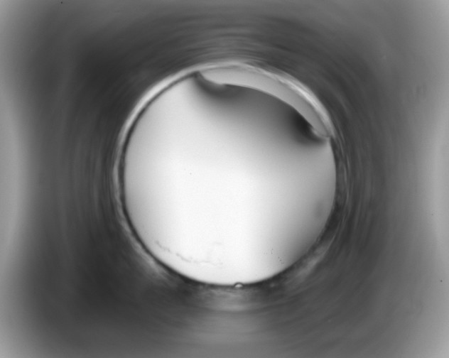 X0000086250959200704261933