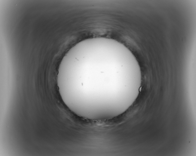 X0000086250961200704261933