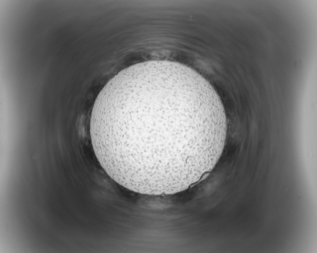 X0000086250962200704261933