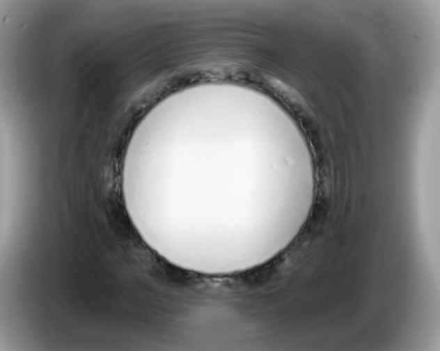 X0000086250966200704261932