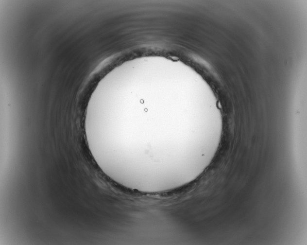 X0000086250968200704261932