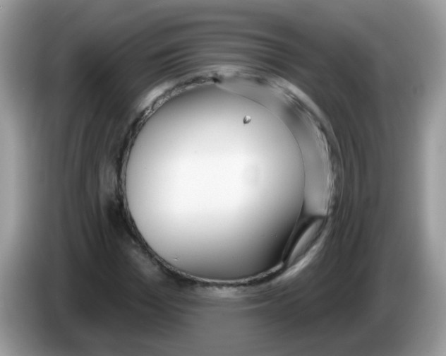 X0000086250969200704261932