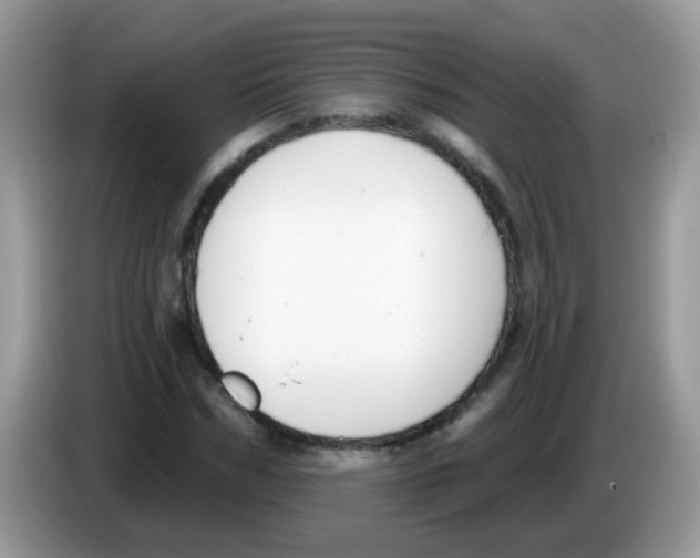 X0000086250970200704261932