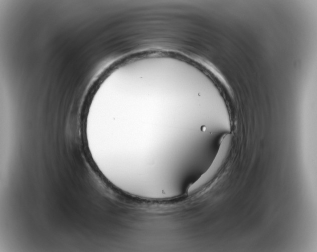 X0000086250972200704261932