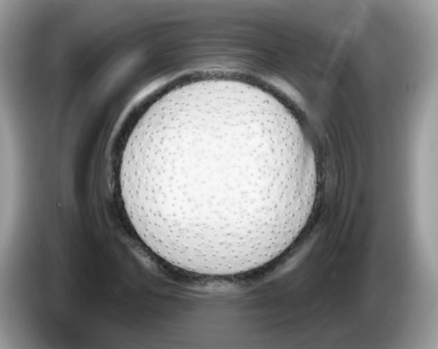 X0000086250974200704261932