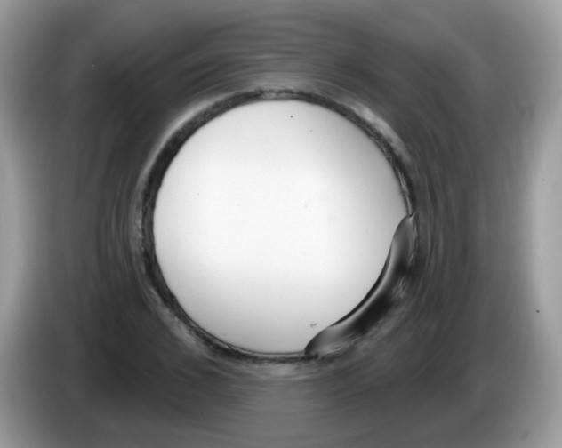 X0000086250976200704261932