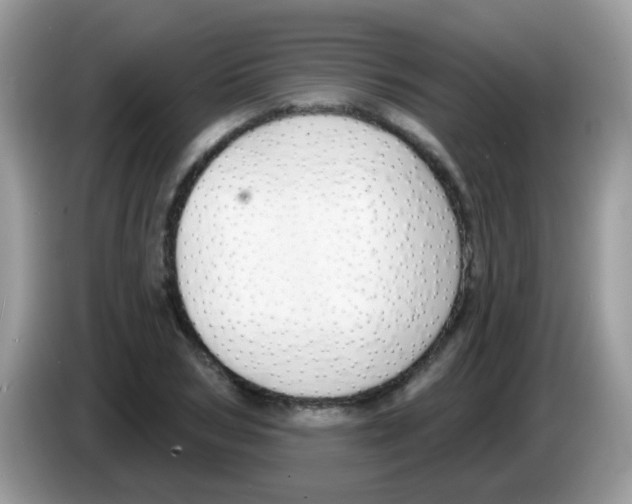 X0000086250978200704261932