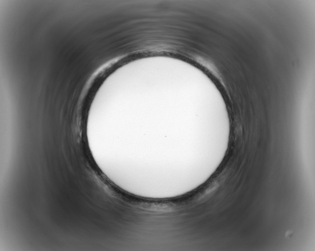 X0000086250979200704261932