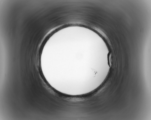 X0000086250984200704261932